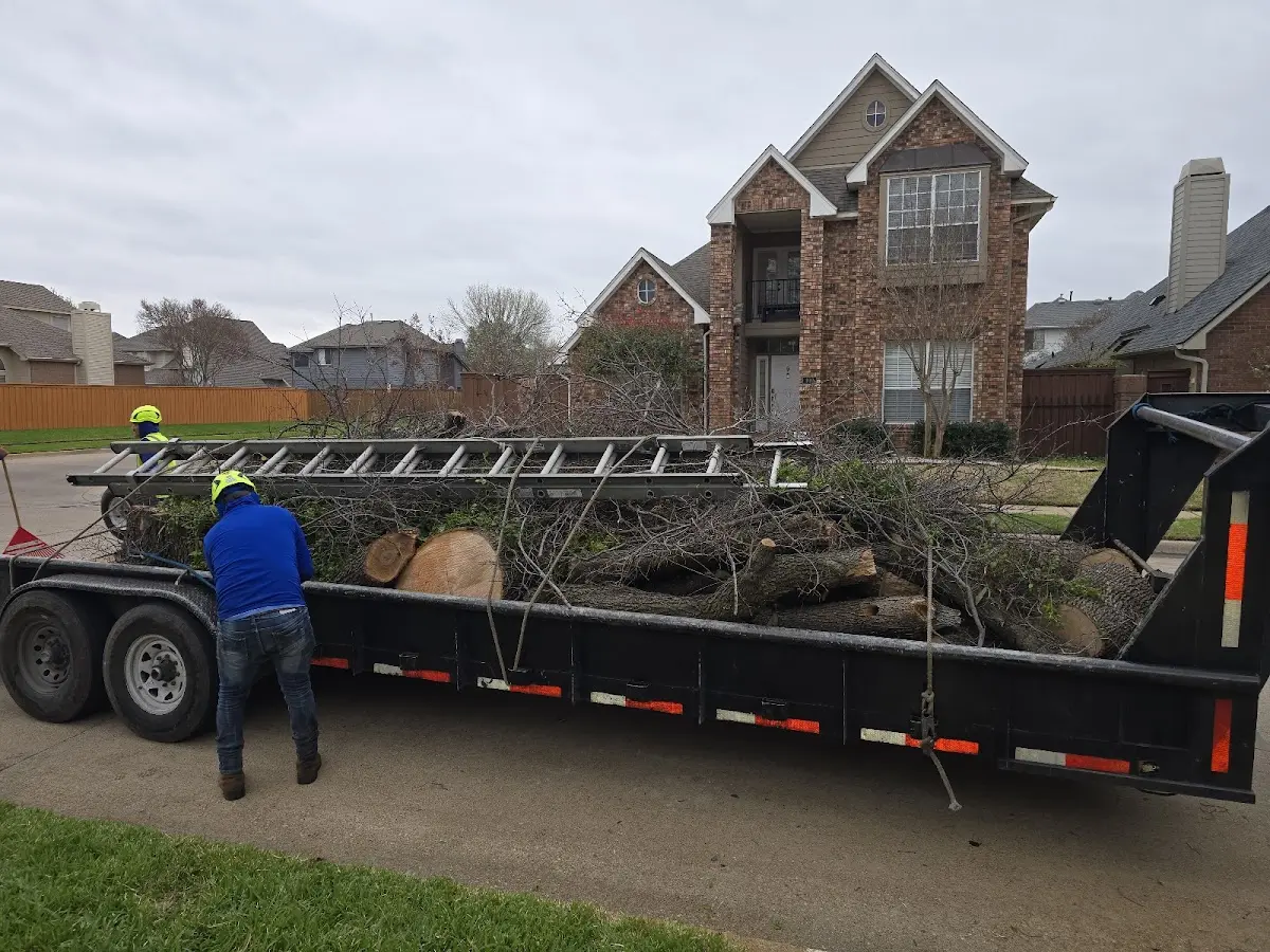 Expert Tree Fertilization with proper safety equipment in Hudson